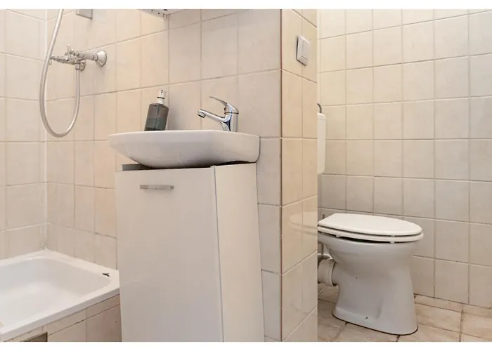 3 Elegant - Ideal For Short & Long *